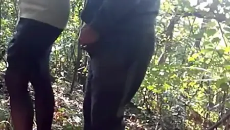 Old Couple Fucking In Forest