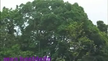 Mike In Brazil 2