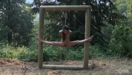 Forest Hardcore Bondage Fetish Scene With Asian Babe Elle Voneva