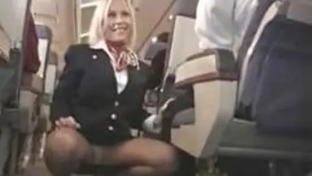 Flight Attendent Upskirt