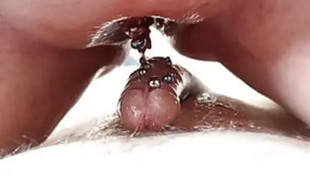 Creampie With Piercings