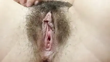 Pussy Up Close