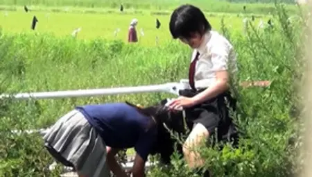 Urinating Asian Teenagers Followed