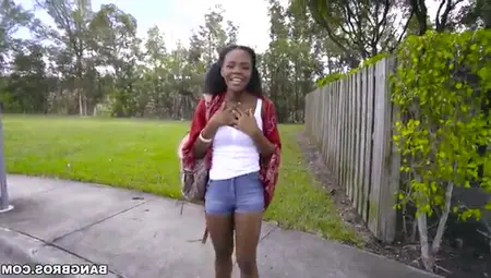 Petite Ebony Princess Fucks With Pale Dude In His Van