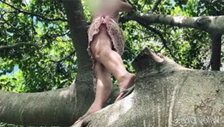 Wifes Outside Tree Climbing No Lingerie Outside Nudity