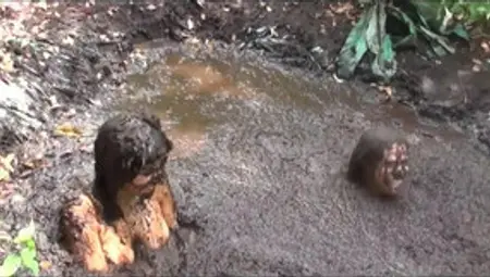 Two Girls In Mud