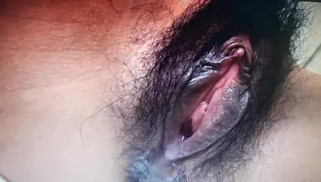 Jp Pussy Lips