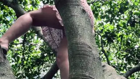 Wifes Public Tree Climbing No Underwear Outdoor Nudity