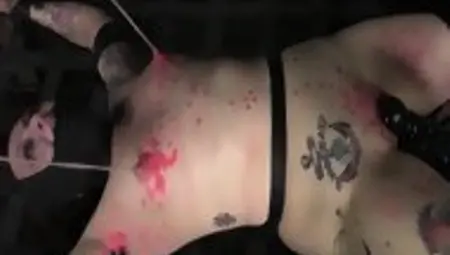 Bdsm Slave Mollie Rose Covered In Wax
