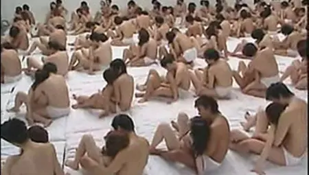Orgy Japan Sets World Record Orgy 500 Men And Women