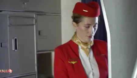 Passenger Fuck The Stewardess