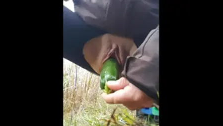 Horny Little Milf Fucks A Zucchini Outside In Public By The Highway!