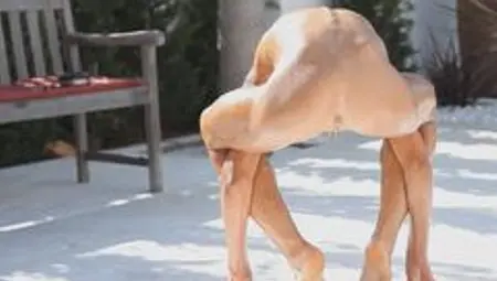 Super Skinny And Oiled Up Teen Performs Flexible Acrobatics And Pees On The Ground