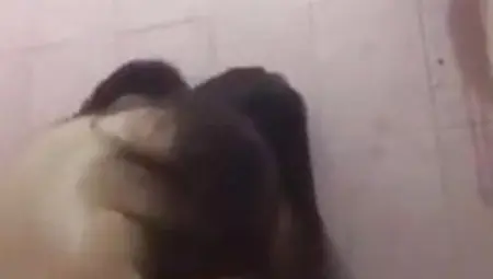 Iraqi Man Fucking His Wife In Shower