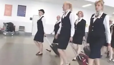 Busty Stewardess Hot Handjob