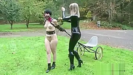 Ponygirl Pull The Carriage Of Mistress