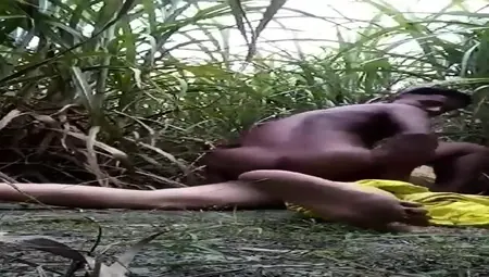 Desi Boy Fuck A Busty Magi In Jungle