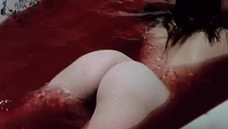 Female Vampire Legendado  (1973)