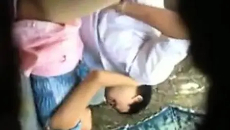 Indian Adorable Lady Fucking And Cocksucking In Park With B