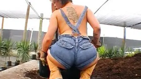 BANGBROS - Large Butt Farmin' Throwback Featuring Isabel Ice & Jordan Ashley