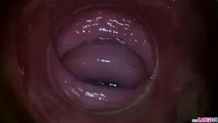 PJGIRLS - Camera Deep Inside Paula Shy's Vagina (Full HD Pussy Cam)