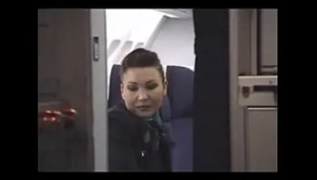 1240317 French Cabin Crew
