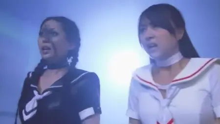 Sailor?hazard