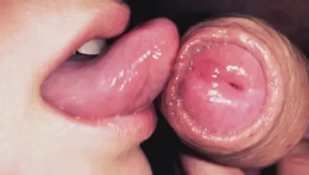 Gently Caress His Head And Foreskin, Licking Up The Thick Cum On My Tongue