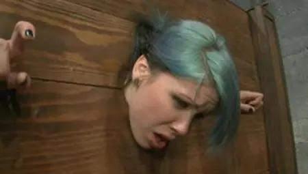 Hanging And Trapped In Pillory Babes Getting Fucked In BDSM Vid