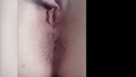 Compilation Of Labia Close-ups. Unshaved And Bald