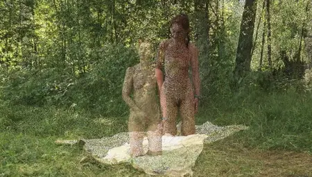 Various Sex In Forest Glade (in Nature)
