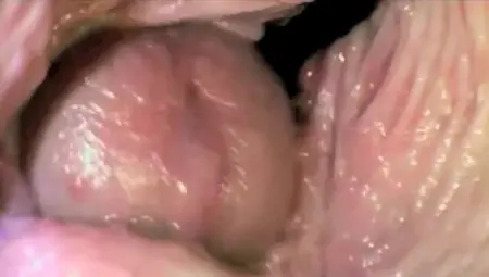 Insemination By Compilation - Conception, Pregnant Me By Your Cum Inside