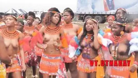Big Titted Topless South Ebony Zulu Girls During Reed Rance