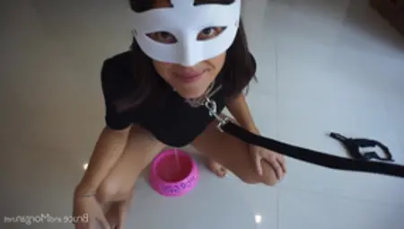 Piss And Cum: Leashed Girlfriend Drinks Out Of A Dog Bowl