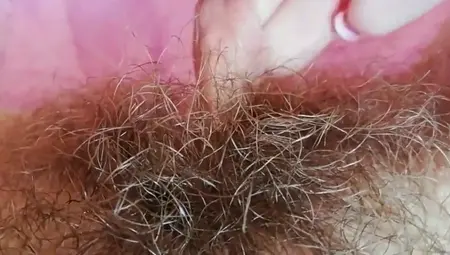 Extremely Hairy Pussy With Big Lips Close-up