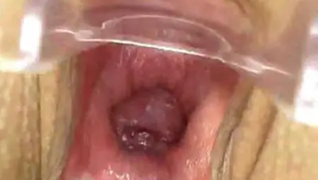 Inside Vaginas