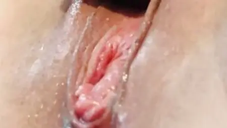 Close-up Gigantic Horse Penis Sex Toy