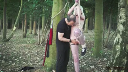 Collared Slave Foil Wrapped To A Tree