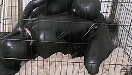 Trapped In Rubber Bitchsuit & Cage