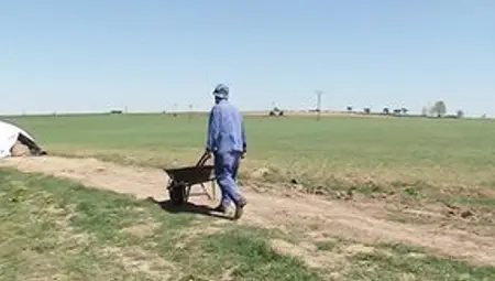 Young Cunt With Mouth Plowed By Mature Farmer For Smoking On A Haystack